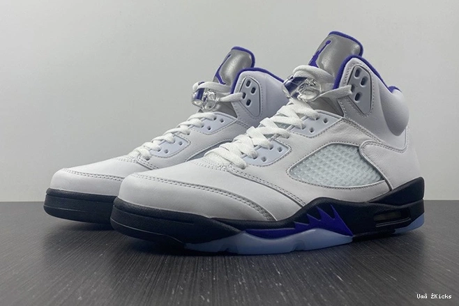 DD0587-141 Fashionable CONCORD Air Jordan5 587 0730